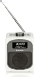 radio-dab-fm-roadstar-hra-600d-wh-model-hra-600d-wh
