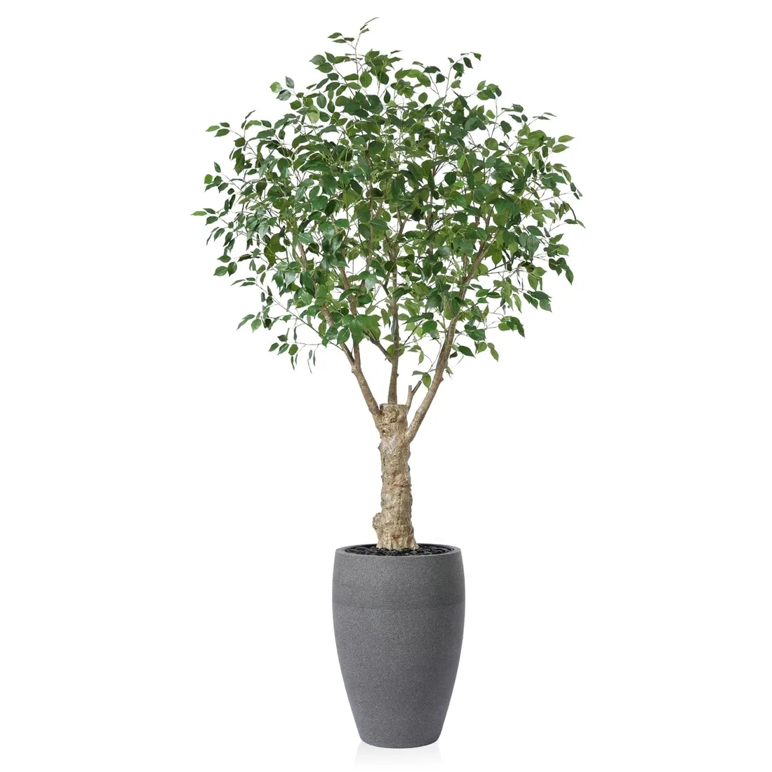 sztuczne-drzewko-figowe-fikus-240-cm-duza-realistyczna-dekoracja-wnetrz-stan-nowy