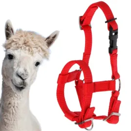 kantar-dla-alpak-regulowany-czerwony-markowy-kerbl-zmywalny