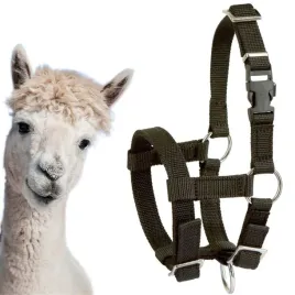 kantar-dla-alpak-regulowany-czarny-markowy-kerbl-zmywalny