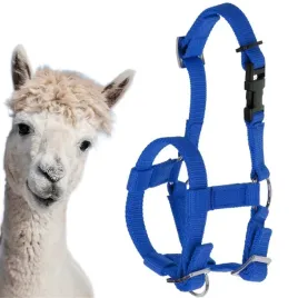 kantar-dla-alpak-regulowany-niebieski-markowy-kerbl-zmywalny