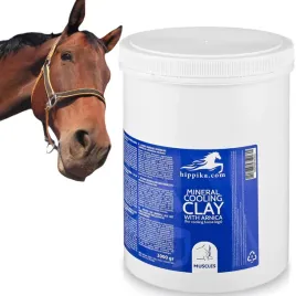 glinka-chlodzaca-kojaca-mineralna-z-arnika-dla-koni-xxl-3-kg-skuteczna