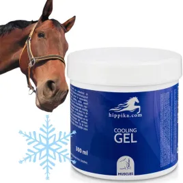 zel-chlodzacy-dla-koni-300ml-hippika-na-obrzeki-bole-miesniowo-stawowe-koi