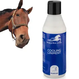 wcierka-chlodzaca-masc-dla-koni-250ml-hippika-natychmiastowa-ulga