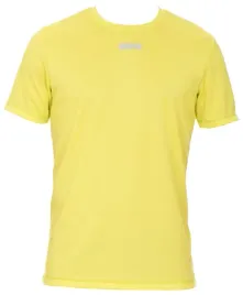 koszulka-t-shirt-meski-basic-arena-performance-r-l