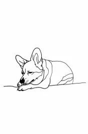 plakat-53x81cm-spiacy-corgacz