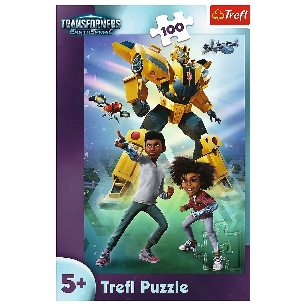 puzzle-druzyna-transformers-transformers