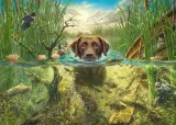 schmidt-spiele-58572-puzzle