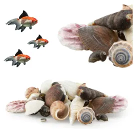 muszle-dekoracyjne-do-akwarium-100g-muszla-mix