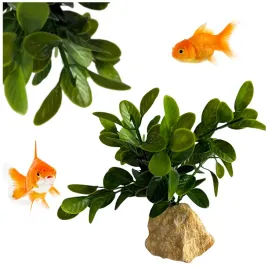 roslina-do-akwarium-roslinka-sztuczna-wysokosc-13cm-n2