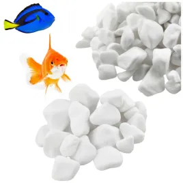 kamien-do-akwarium-otoczak-snieznobialy-1kg-4-8cm