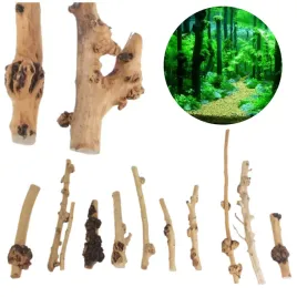 korzen-do-akwarium-tall-wood-zestaw-10szt-20-50cm