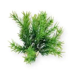 roslinka-do-akwarium-na-kamieniu-rosliny-sztuczne-wys-15cm-p1