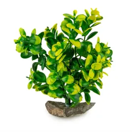 roslina-do-akwarium-roslinka-sztuczna-wysokosc-20cm-a12