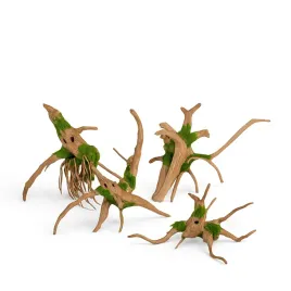 korzen-akwarystyczny-red-moor-15-20cm-z-nasionami-kielkujacymi-glossostigma