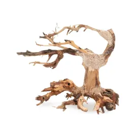 korzen-do-akwarium-drzewko-bonsai-mini-20x15cm