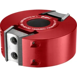 globus-glowica-z-wymiennym-ostrzem-100x30x2z-h40