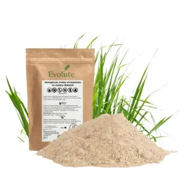 srodek-na-insekty-pluskwy-ziemia-okrzemkowa-diatomit-750-g
