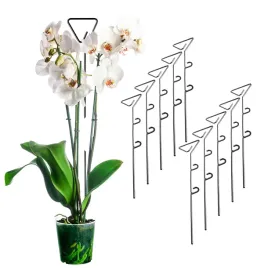 podporki-do-storczykow-podpora-do-roslin-kwiatow-wspornik-tyczka-45cm-10szt