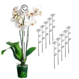 podporki-do-storczykow-podpora-do-roslin-kwiatow-wspornik-tyczka-45cm-10szt