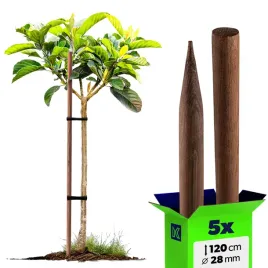 5x-paliki-do-pomidorow-drewniane-120-cm-ostrzone-impregnowane-podpora-28-mm