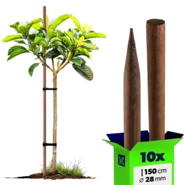 10x-paliki-do-pomidorow-drewniane-150-cm-ostrzone-impregnowane-podpora-28mm