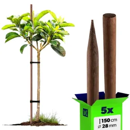 5x-paliki-do-pomidorow-drewniane-150-cm-ostrzone-impregnowane-podpora-28-mm