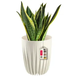 doniczka-donica-na-kwiaty-z-wkladem-145x17cm-oslonka-wklad-okragla-plastik