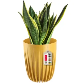 doniczka-donica-na-kwiaty-z-wkladem-25x30cm-oslonka-wklad-okragla-plastik