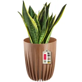 doniczka-donica-na-kwiaty-z-wkladem-19x225cm-oslonka-wklad-okragla-plastik