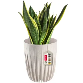 doniczka-donica-na-kwiaty-z-wkladem-25x30cm-oslonka-wklad-okragla-plastik