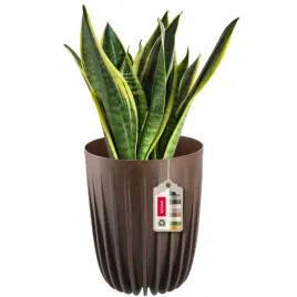 doniczka-donica-na-kwiaty-z-wkladem-19x225cm-oslonka-wklad-okragla-plastik