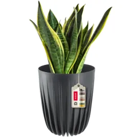 doniczka-donica-na-kwiaty-z-wkladem-25x30cm-oslonka-wklad-okragla-plastik