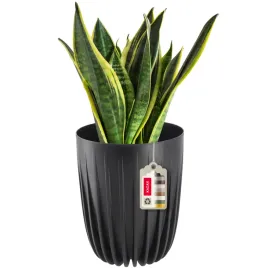 doniczka-donica-na-kwiaty-z-wkladem-145x17cm-oslonka-wklad-okragla-plastik