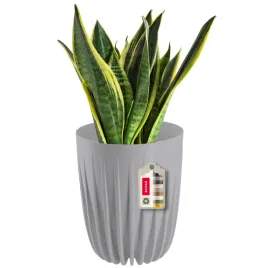 doniczka-donica-na-kwiaty-z-wkladem-30x36cm-oslonka-wklad-okragla-plastik