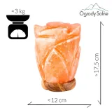 lampa-solna-na-biurko-lampka-z-soli-naturalna-kwiatek-roza-3kg-na-prezent-informacje-dodatkowe-zarowki-w-zestawie