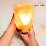 lampa-solna-na-biurko-lampka-z-soli-naturalna-kwiatek-roza-3kg-na-prezent-stan-nowy-dlugosc-wysokosc-17-5-cm