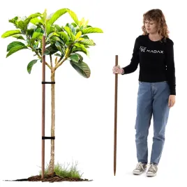 palik-do-pomidorow-drewniany-120-cm-ostrzony-impregnowany-podpora-kij-28mm