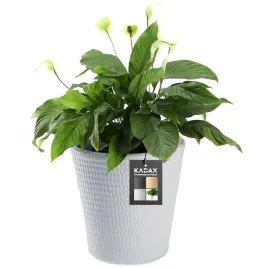 doniczka-donica-na-kwiaty-oslonka-plastikowa-roslin-okragla-35-cm-szara
