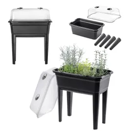 duza-mini-szklarenka-miniszklarenka-szklarnia-domowa-rozsady-60cm-30l