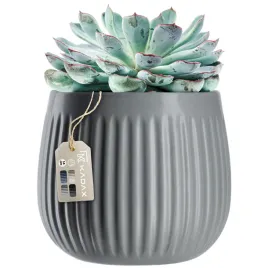 doniczka-donica-ceramiczna-na-kwiaty-oslonka-kwietnik-okragla-14-cm-szara