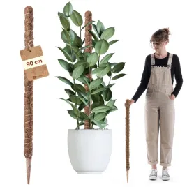 1-szt-palik-kokosowy-podpora-do-roslin-tyczka-90-cm-monstery-kwiatow-palka