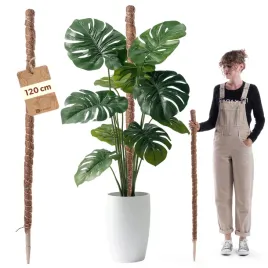 1-szt-palik-kokosowy-podpora-do-roslin-tyczka-120-cm-monstery-kwiatow-palka