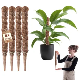 4x-podpora-do-roslin-kwiatow-45cm-palik-kokosowy-45mm-tyczka-palka-monstery