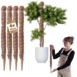 4x-podpora-do-roslin-kwiatow-60cm-palik-kokosowy-45mm-tyczka-palka-monstery