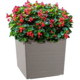 doniczka-donica-na-kwiaty-kwietnik-19-cm-oslonka-plastikowa-szara-z-wkladem