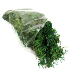 sztuczny-mech-suszony-dekoracyjny-zielony-50g-mech-do-dekoracji