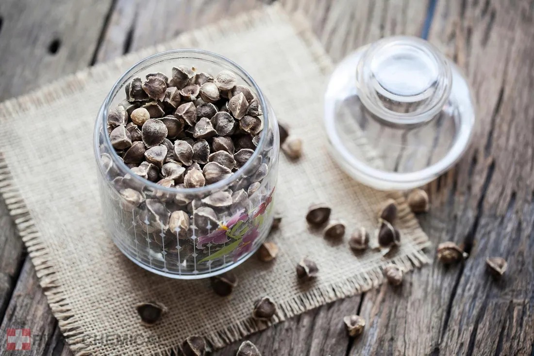 olejek-moringa-naturalny-nierafinowany-zimnotloczony-1l