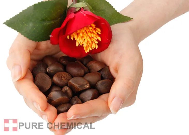 olejek-tsubaki-z-kamelii-japonskiej-nierafinowany-zimnotloczony-2x-30ml-zapach-naturalny