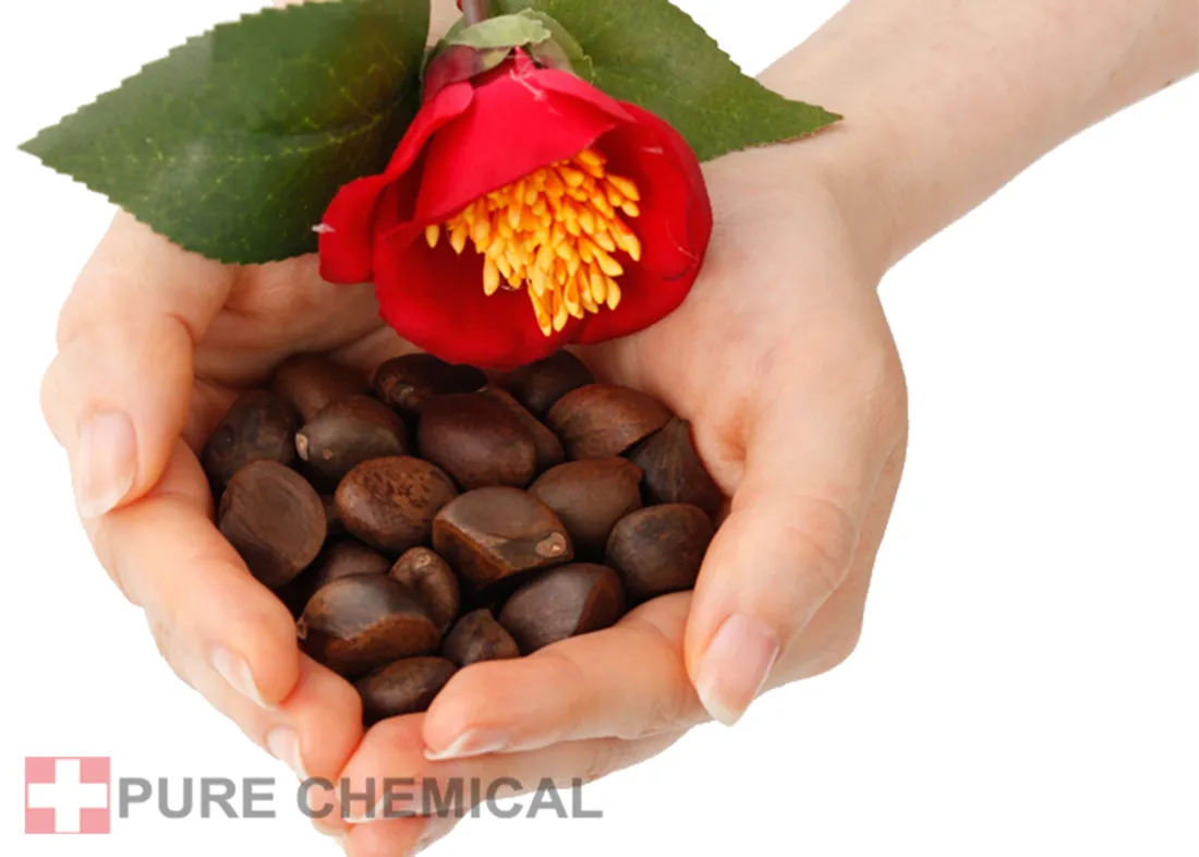 olejek-tsubaki-z-kamelii-japonskiej-nierafinowany-zimnotloczony-2x-30ml